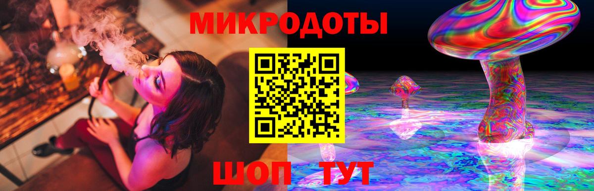 Верхняя Салда  Галлюциногенные грибы Psilocybe  Вход с VPN 